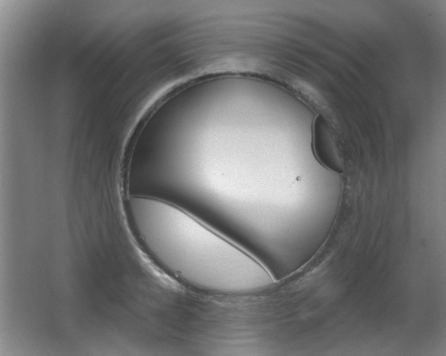 X0000063480942200601201021