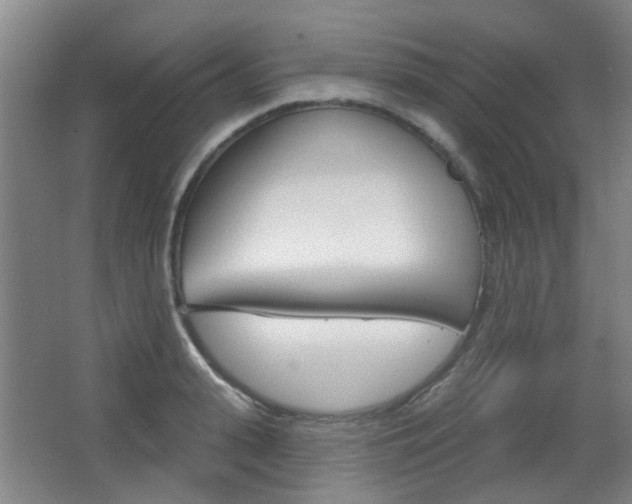 X0000063480943200601201021