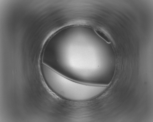 X0000063480944200601201021