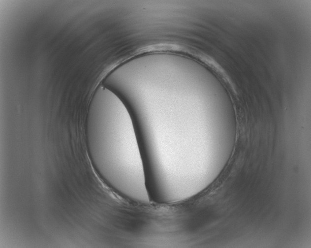 X0000063480945200601201021