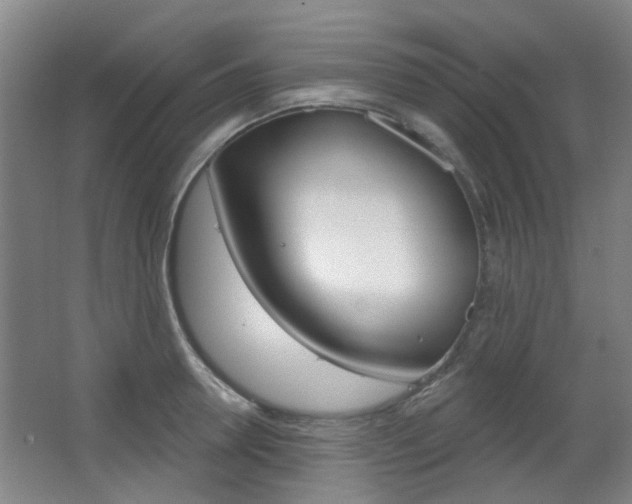 X0000063480946200601201021