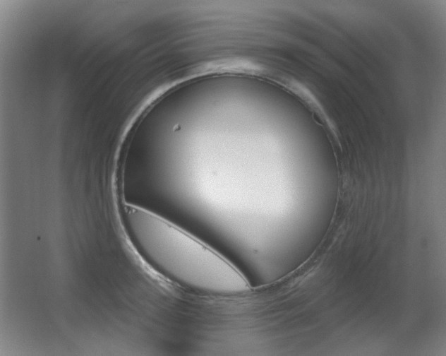X0000063480947200601201021