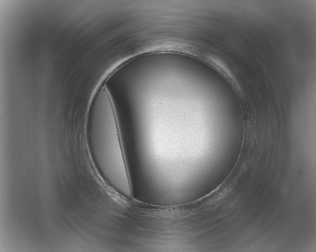 X0000063480948200601201021