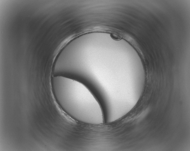 X0000063480954200601201021