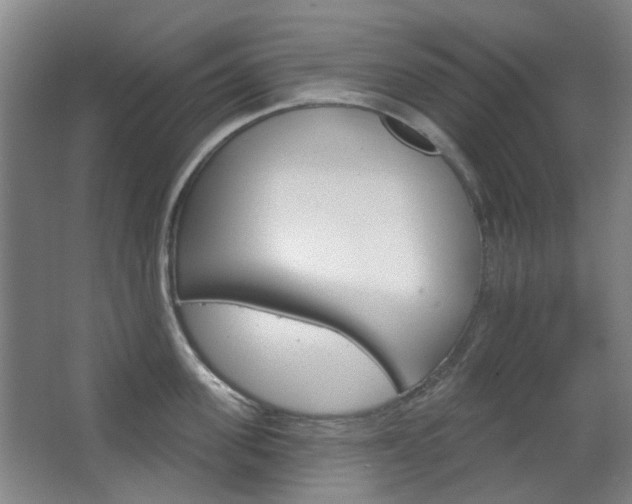 X0000063480955200601201021