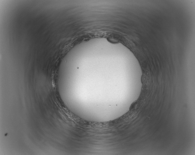 X0000063480962200601201021