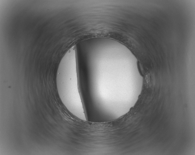 X0000063480963200601201021