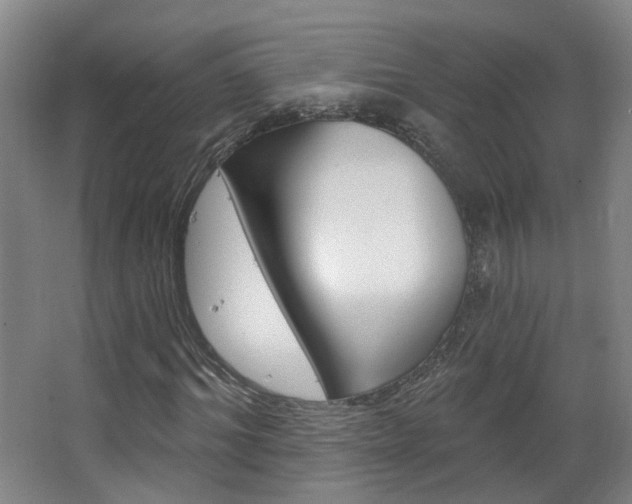 X0000063480964200601201021