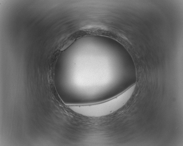 X0000063480965200601201020