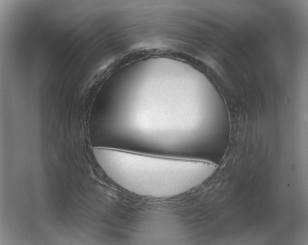 X0000063480967200601201020