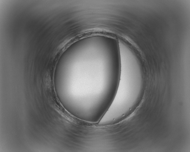 X0000063480969200601201020