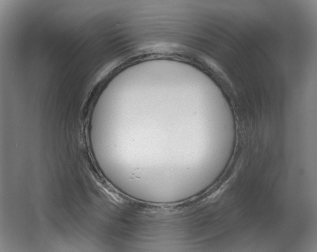 X0000063480970200601201020