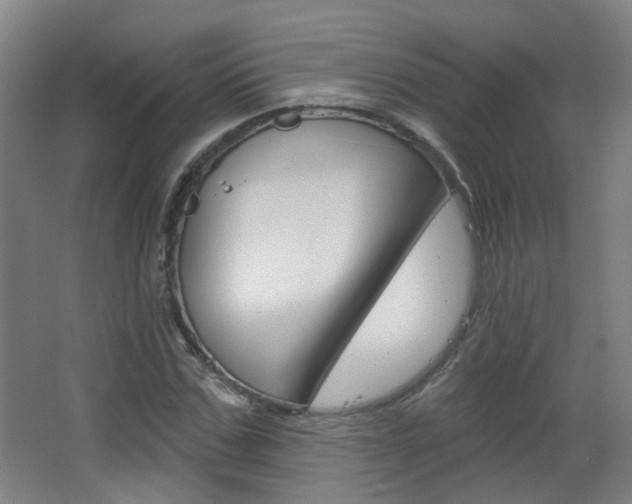 X0000063480971200601201020