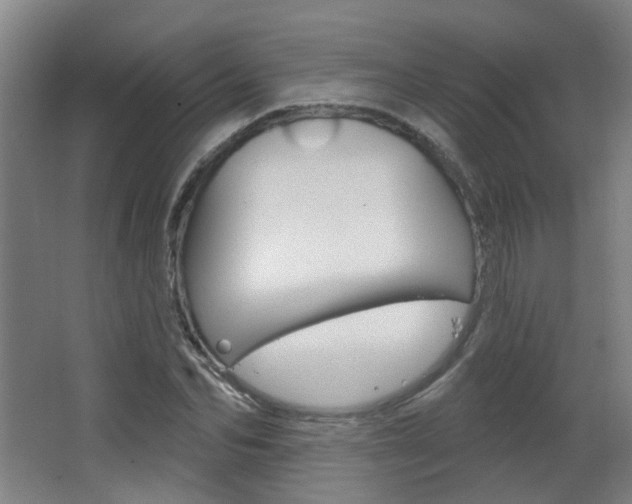 X0000063480974200601201020