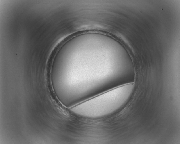 X0000063480975200601201020