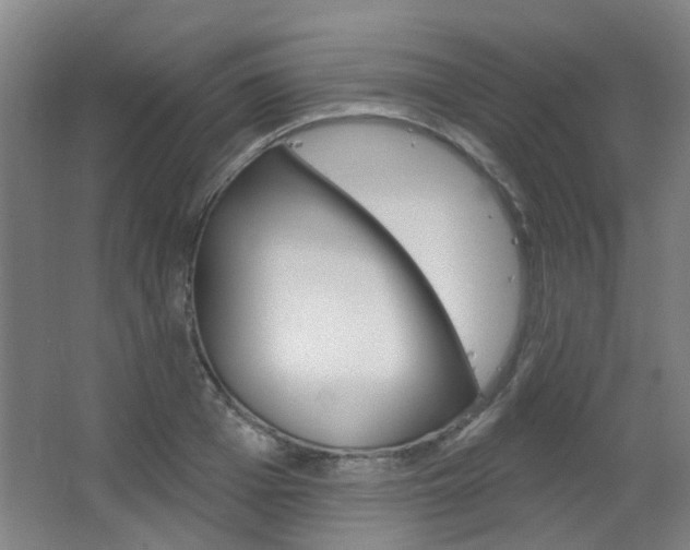 X0000063480985200601201020