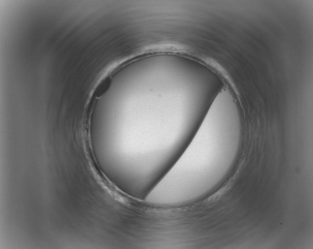 X0000063480989200601201020