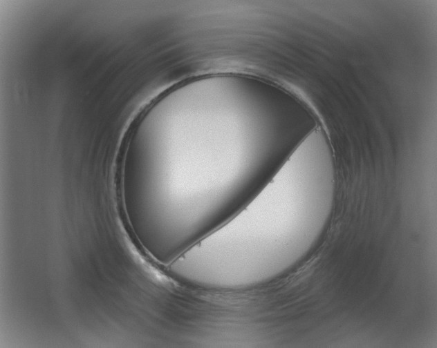X0000063480995200601201020