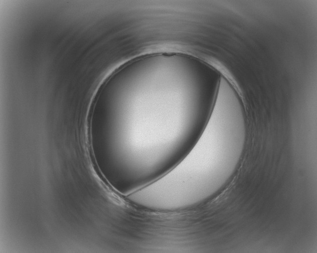 X0000063480996200601201020