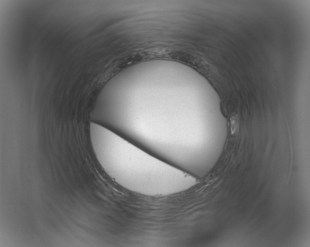 X0000063481011200601201019
