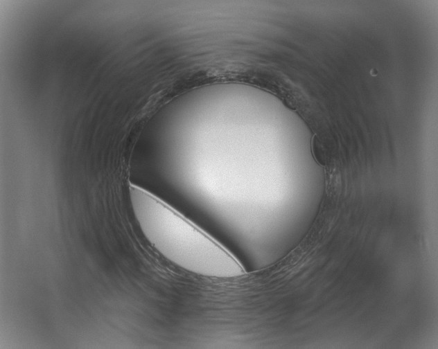 X0000063481012200601201019
