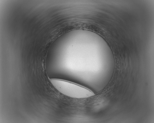 X0000063481013200601201019