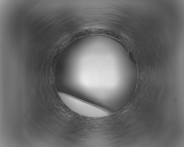 X0000063481014200601201019