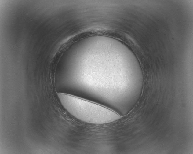 X0000063481016200601201019
