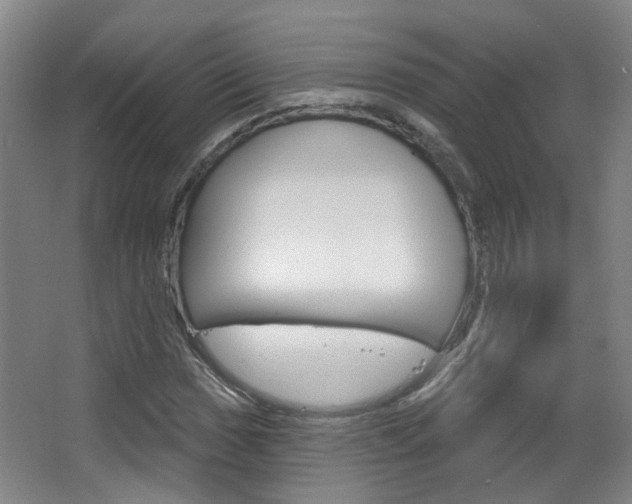 X0000063481017200601201019