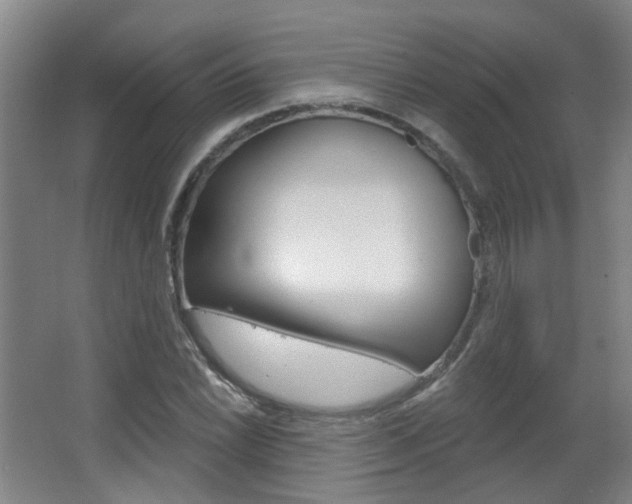X0000063481022200601201019