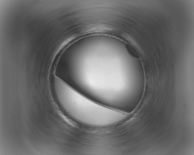 X0000063481026200601201019