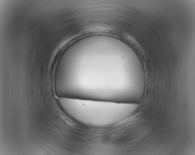 X0000063481027200601201019