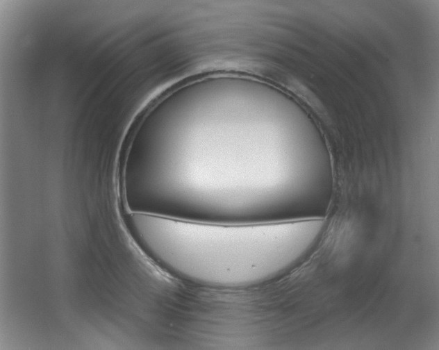 X0000063481028200601201019