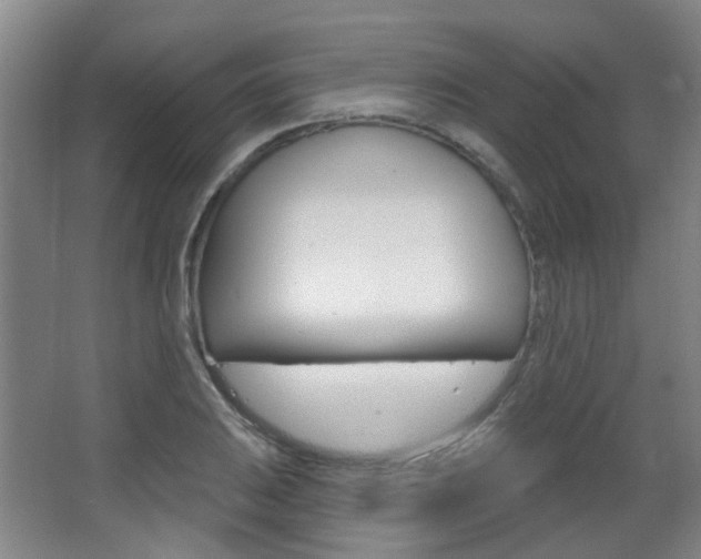 X0000063481031200601201019