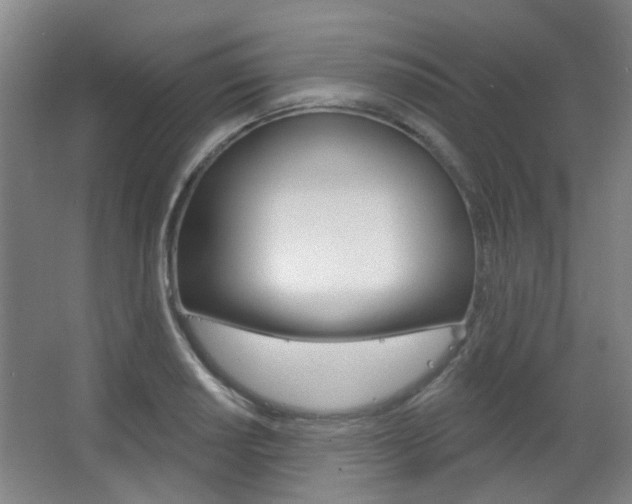 X0000063481034200601201019