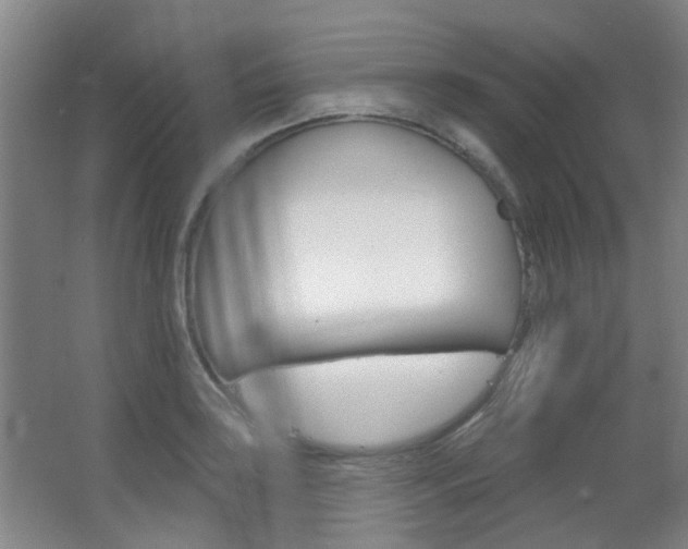 X0000063481035200601201019