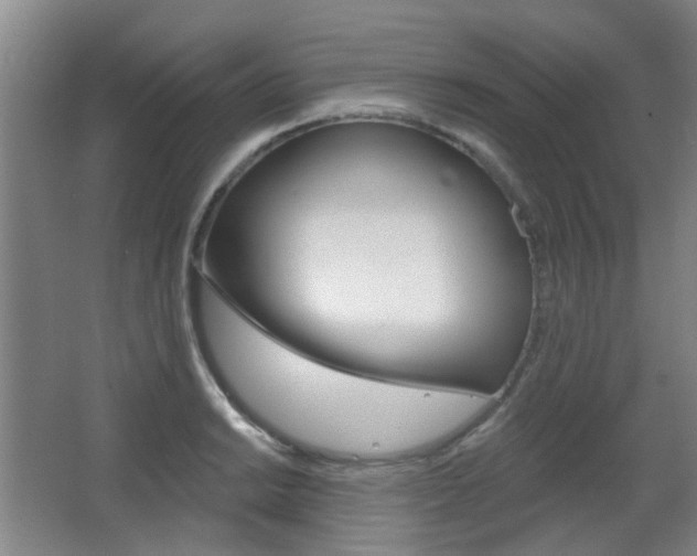 X0000063481038200601201019