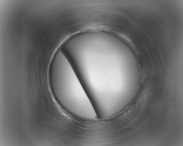 X0000063481039200601201019