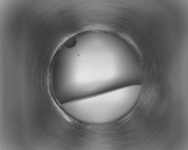 X0000063481040200601201019