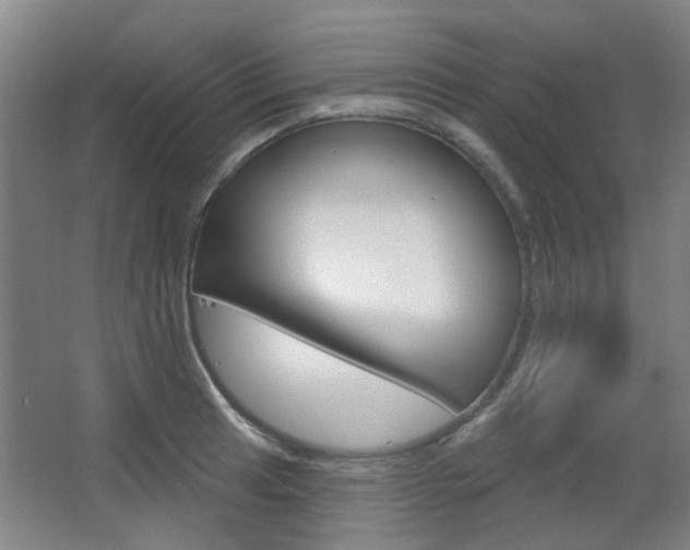 X0000063481041200601201019