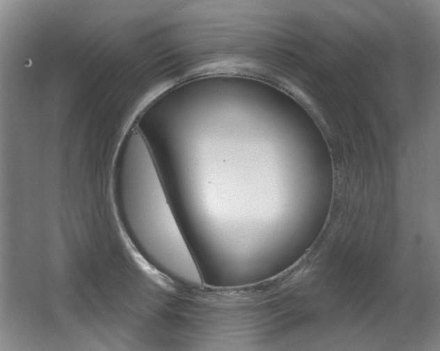 X0000063481042200601201020