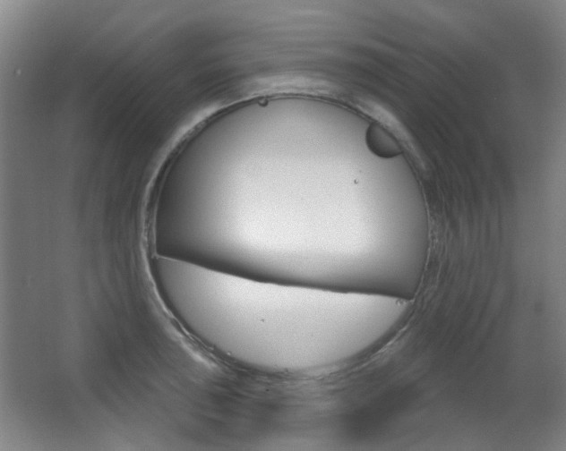 X0000063481043200601201020