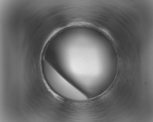 X0000063481046200601201020