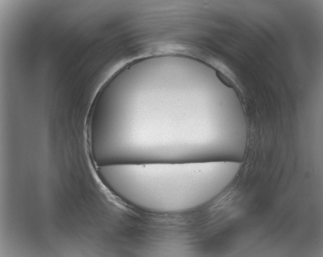 X0000063481047200601201020