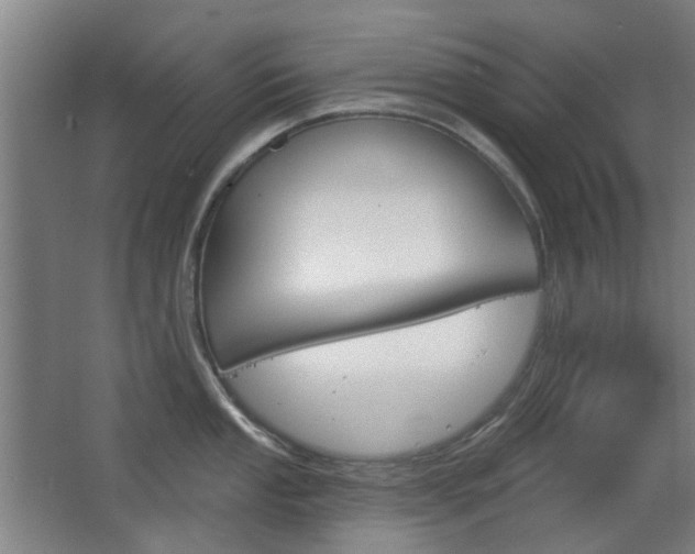 X0000063481053200601201020