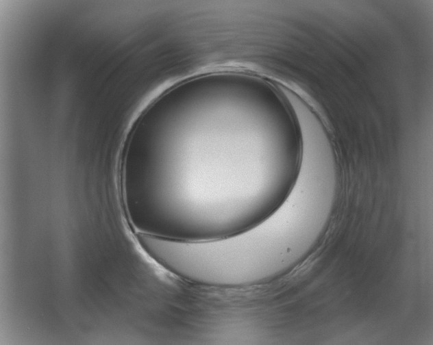 X0000063481054200601201020