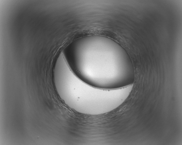 X0000063481057200601201019