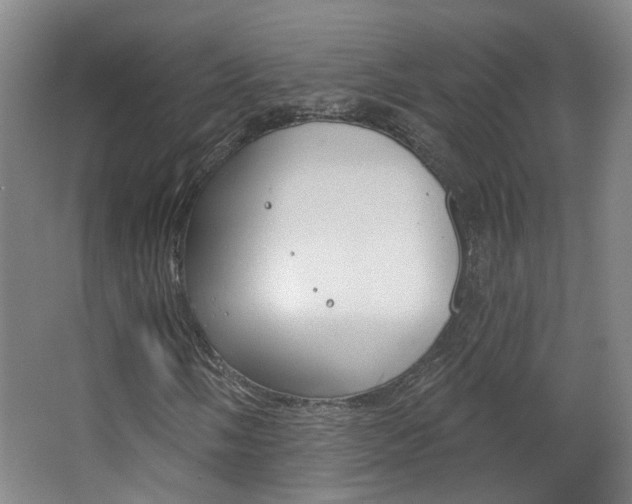 X0000063481058200601201019