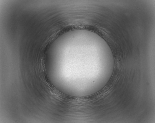X0000063481060200601201019