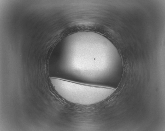 X0000063481061200601201019